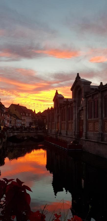 New ! Vue Petite Venise, Place To Be - Parking Colmar Buitenkant foto