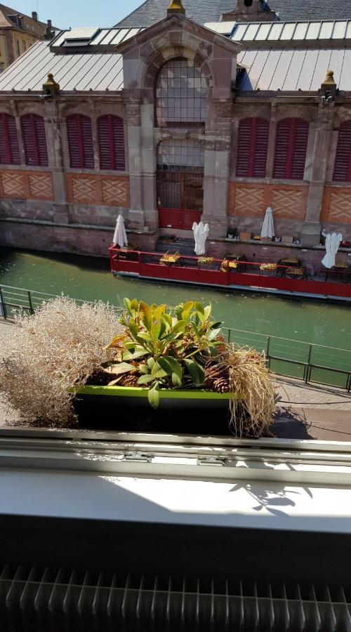 New ! Vue Petite Venise, Place To Be - Parking Colmar Buitenkant foto