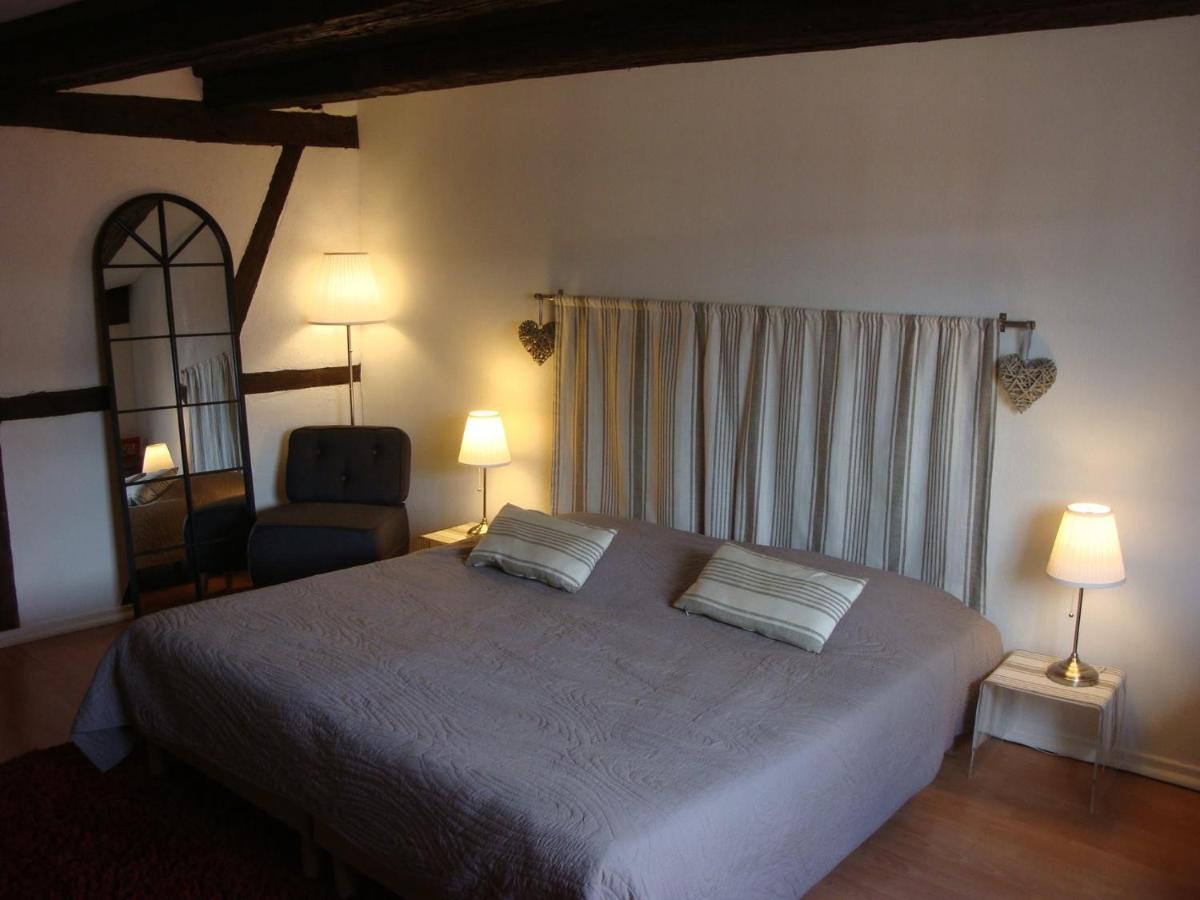 New ! Vue Petite Venise, Place To Be - Parking Colmar Buitenkant foto