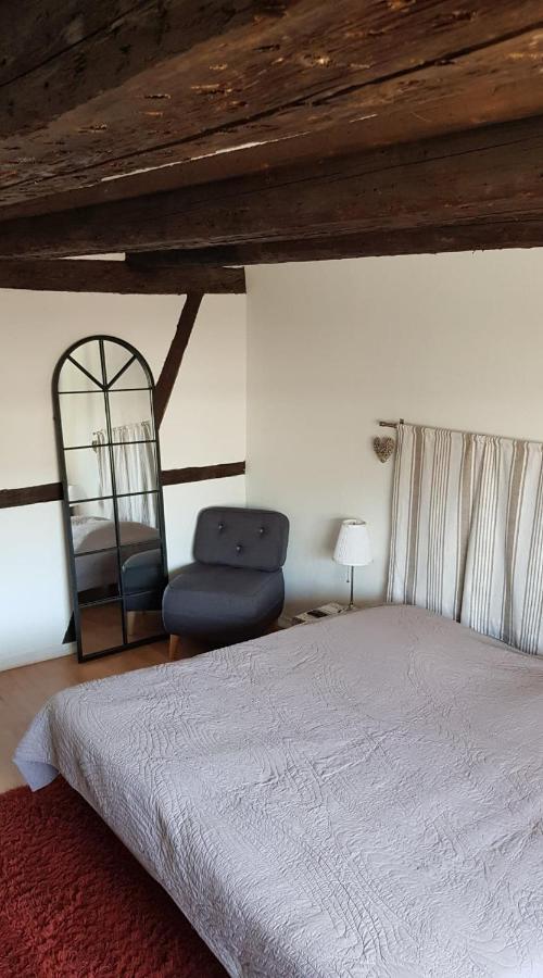 New ! Vue Petite Venise, Place To Be - Parking Colmar Buitenkant foto