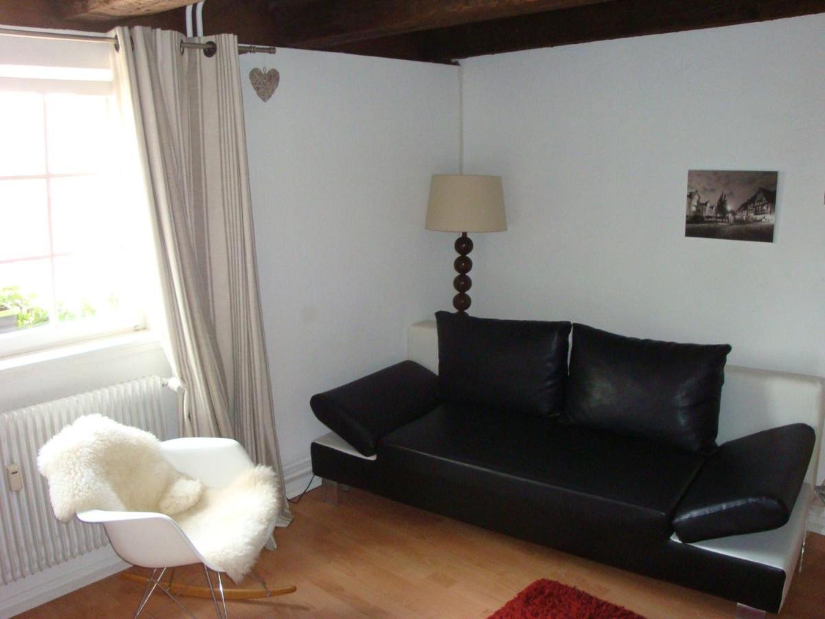 New ! Vue Petite Venise, Place To Be - Parking Colmar Buitenkant foto